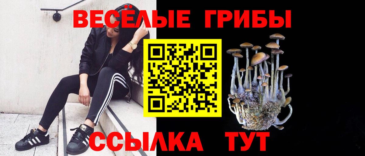 Галлюциногенные грибы Magic Shrooms Дивногорск